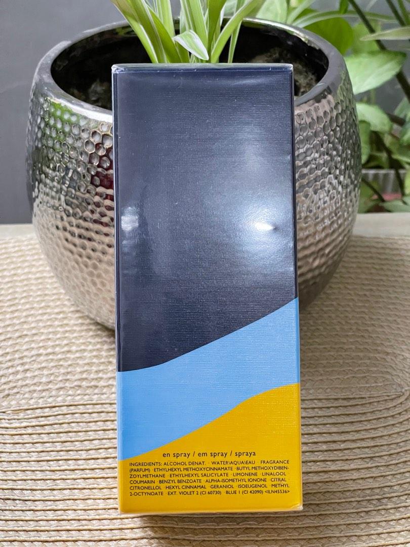 Tommy Hilfiger Into The Surf EDT 100ml Men s Perfume One