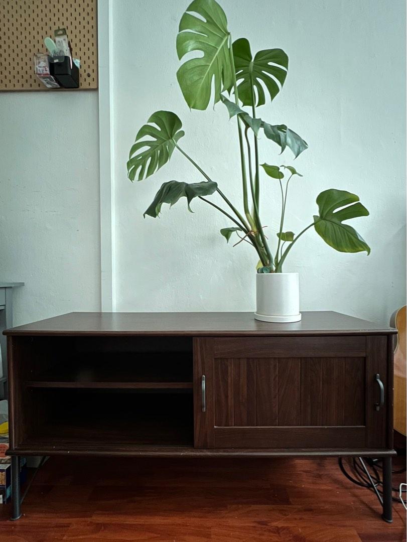 IKEA Tockarp TV Console, Furniture & Home Living, Furniture, TV