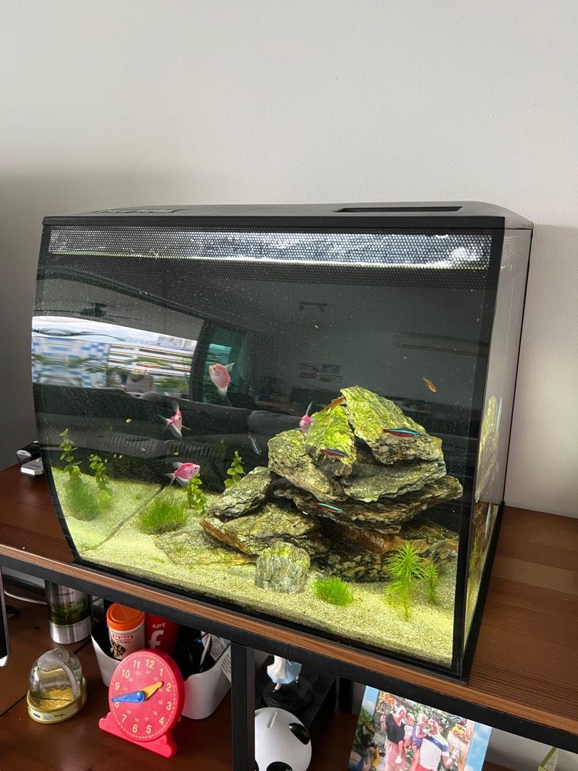 Fluval top flex setup