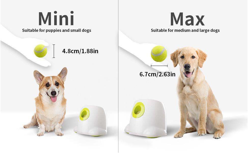 Automatic ball thrower store for small dogs