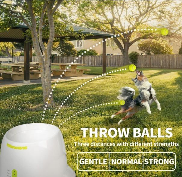Automatic Dog Ball Launcher Automatic Ball Launcher for Dogs Dog Toy