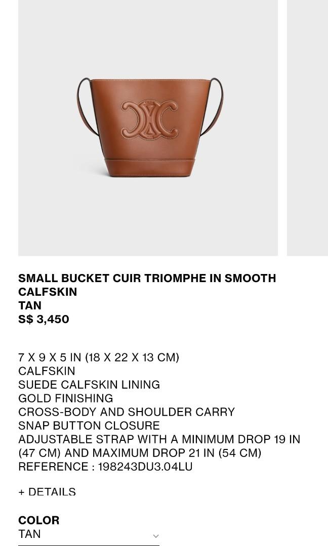 CELINE Triomphe Small bucket cuir triomphe in smooth calfskin (  198243DU3.04LU)