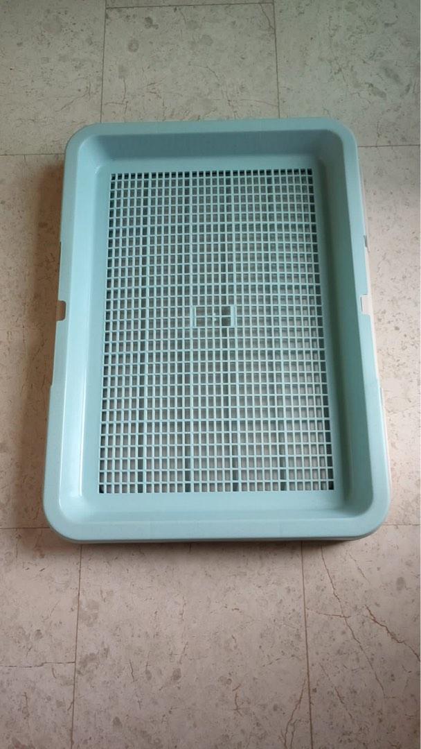 Dog Pee Tray, Pet Supplies, Homes & Other Pet Accessories on Carousell
