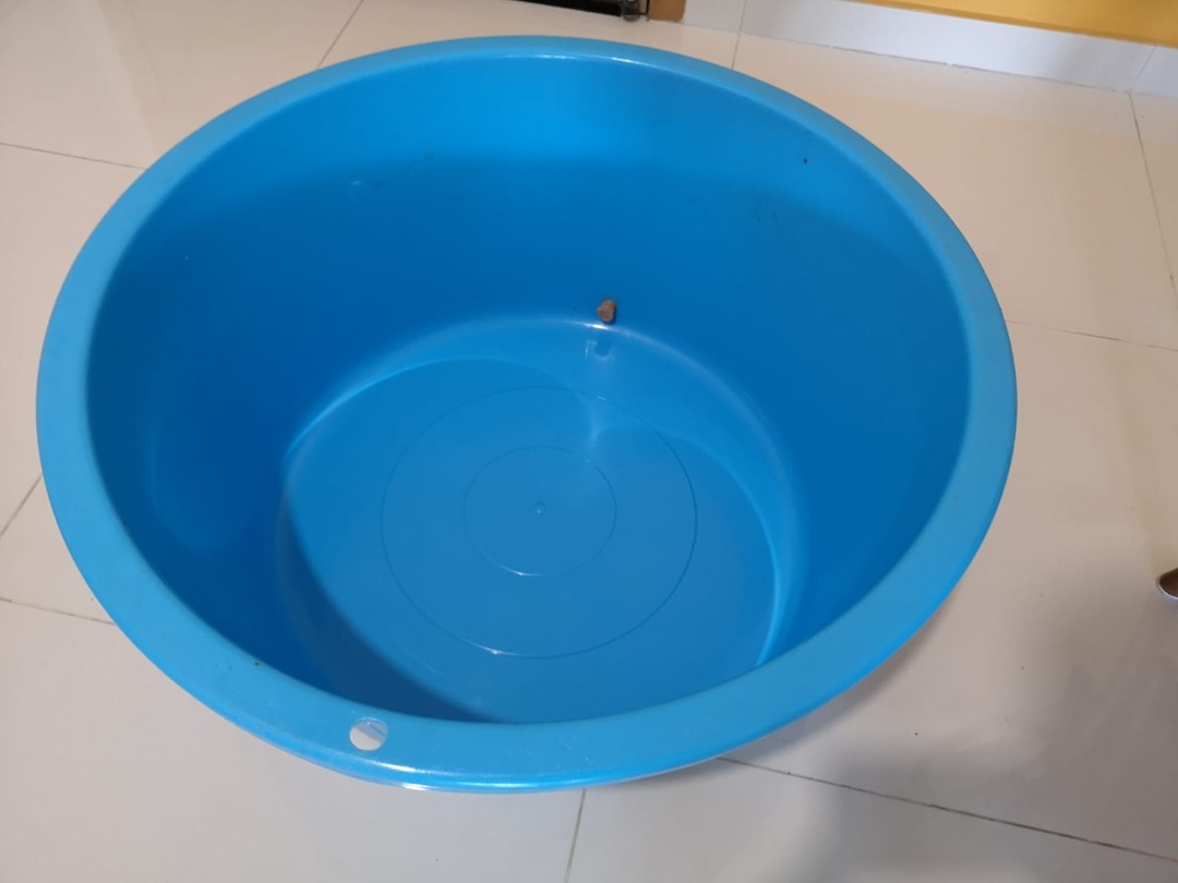 high-volume-container-60-l-furniture-home-living-cleaning