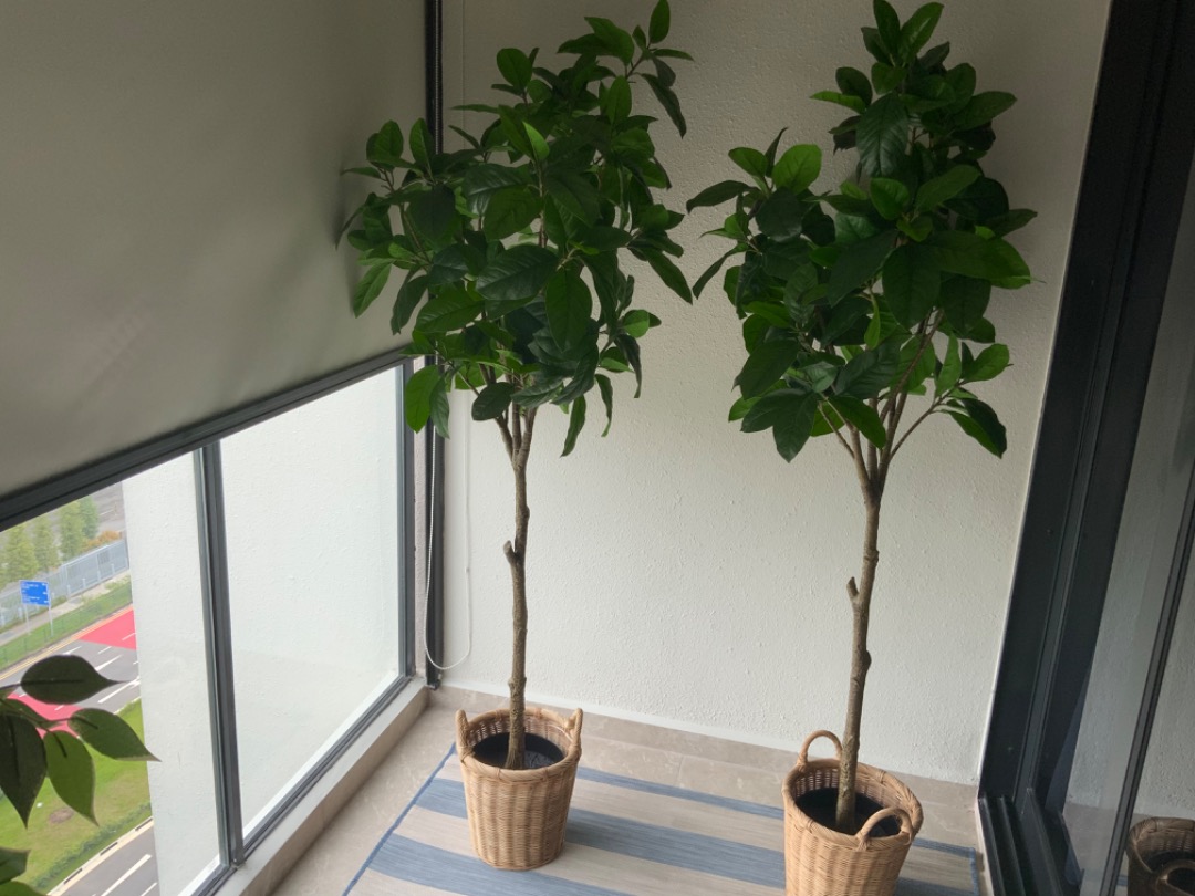 IKEA FEJKA Artificial potted plant, in/outdoor Magnolia, Furniture