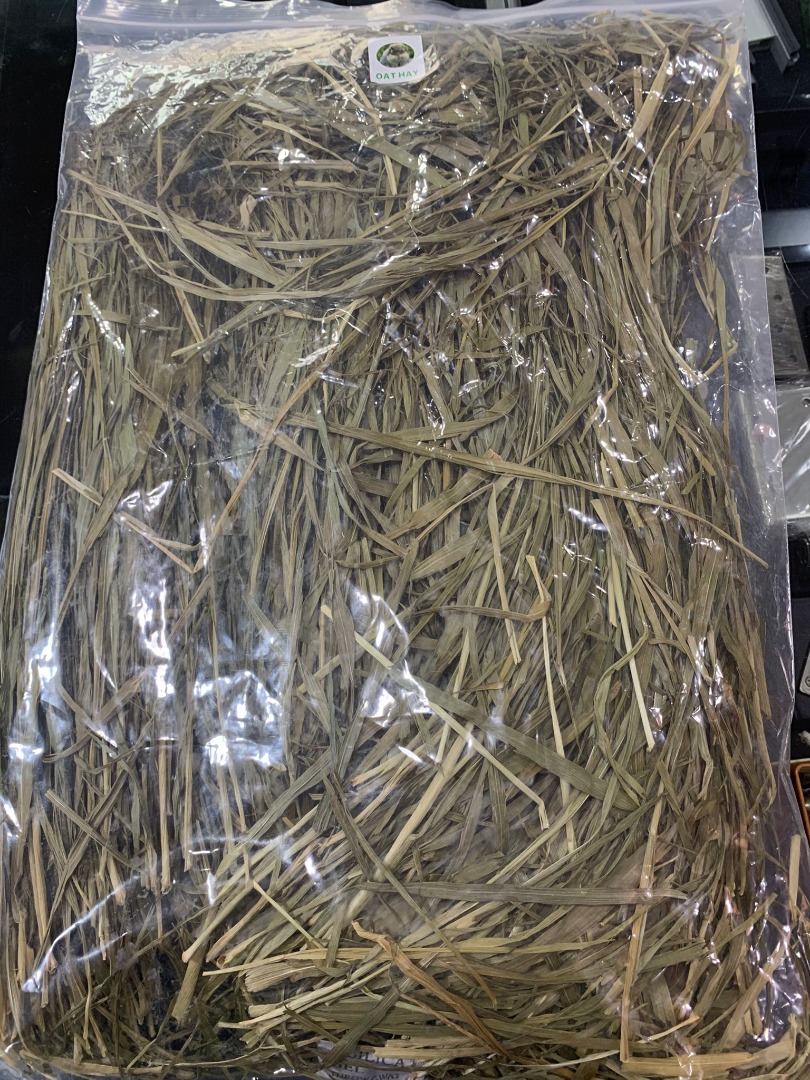 Oat Hay for Rabbits, Pet Supplies, Pet Food on Carousell