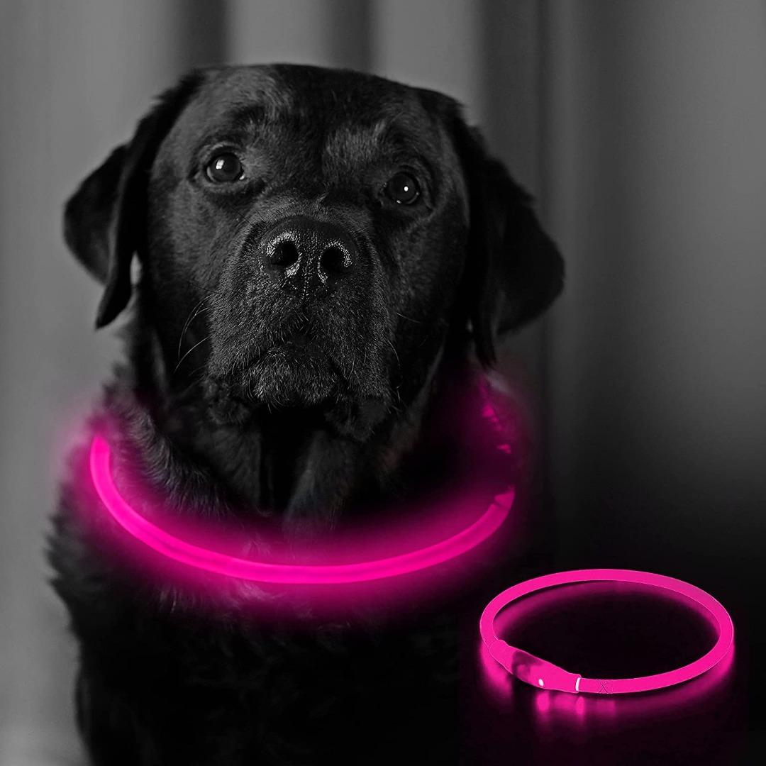 Petsol led collar discount