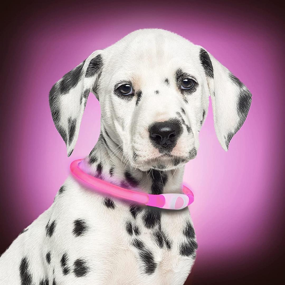 Petsol led top collar