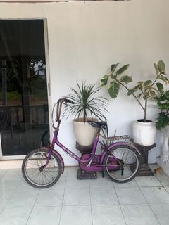 (Category: ) located in . Submitted by hakimihaslan (Listing ID 1194097203, Image 1). Description: .