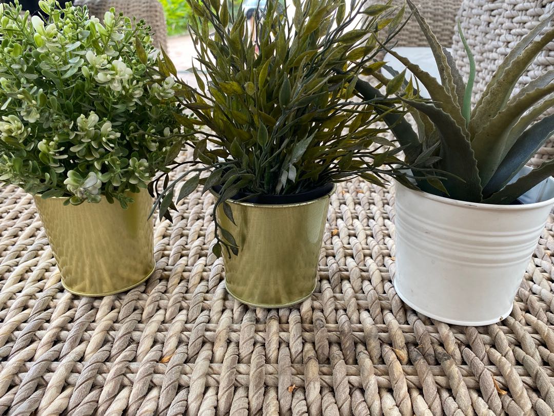 Set of three artificial plants and pots, Furniture & Home Living