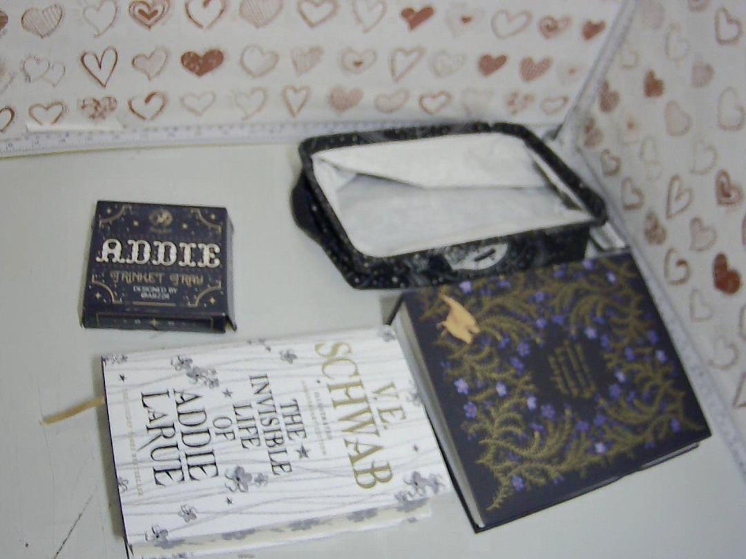 The Invisible Life of Addie LaRue Bundle by V.E. Schwab, Hobbies & Toys ...