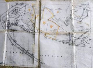 3 Hectares Lot
