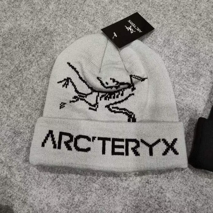 希少 ARC'TERYX SYSTEM_A BIRD LOGO PINS 非売品-