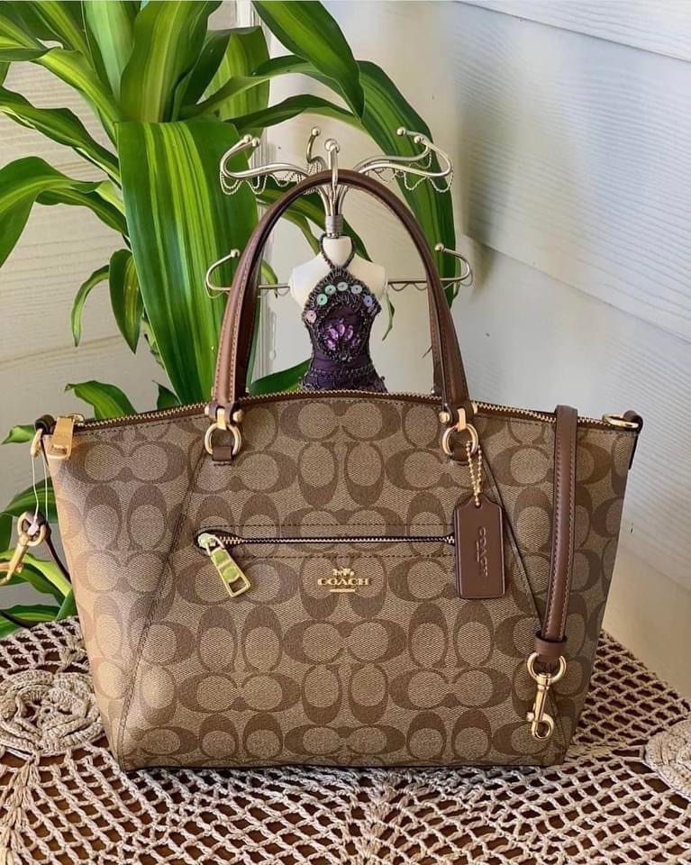 Coach Tote in Signature Canvas, Women's Fashion, Bags & Wallets, Tote