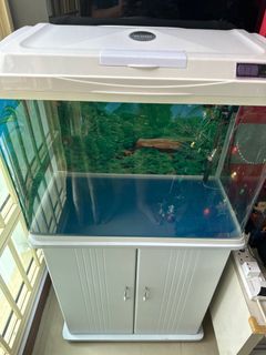 (Category: ) located in . Submitted by liewle (Listing ID 1195829585, Image 1). Description: .