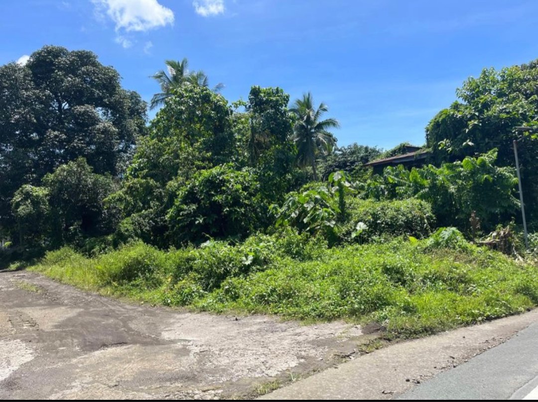 Lot for sale Payapa Ibaba Lemery Batangas, Property, For Sale, Lot on
