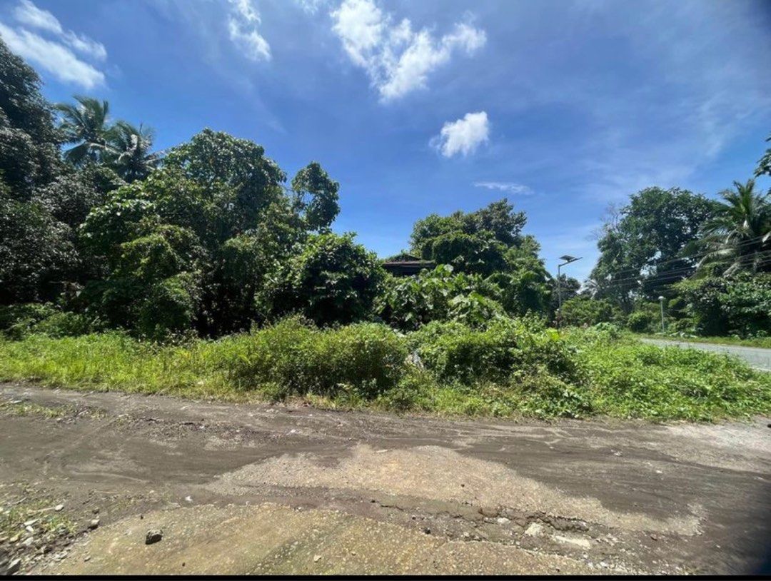 Lot for sale Payapa Ibaba Lemery Batangas, Property, For Sale, Lot on