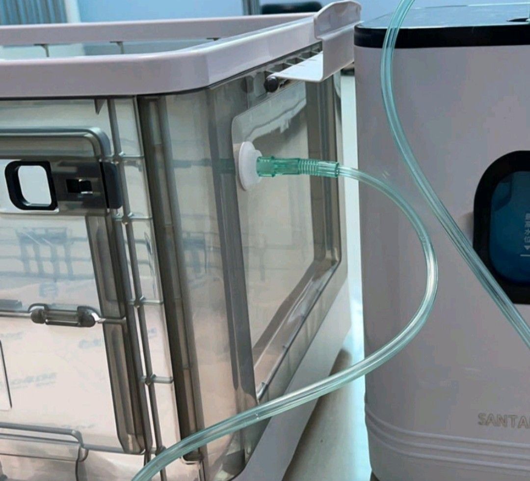 NEBULIZER/ATOMIZATION BOX 28L CAT DOG NASAL, Pet Supplies, Health