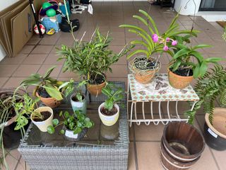 (Category: ) located in . Submitted by henmelt (Listing ID 1194801660, Image 1). Description: .