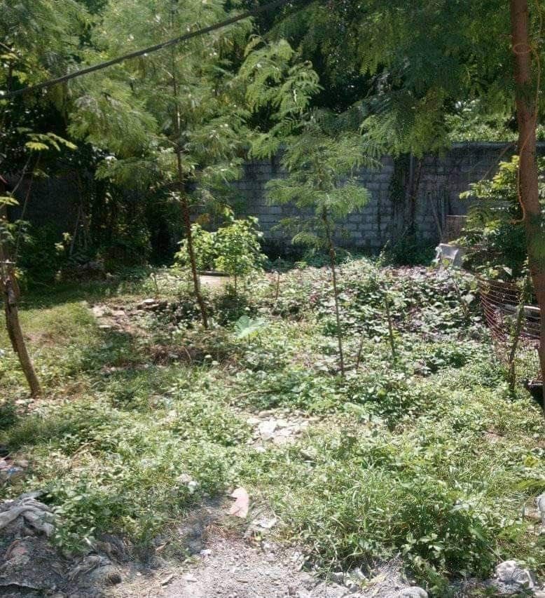 PREMIUM FULLY DEVELOPED LOTS IN SAN CARLOS, BINANGONAN, Property, For Sale, House & Lot on Carousell