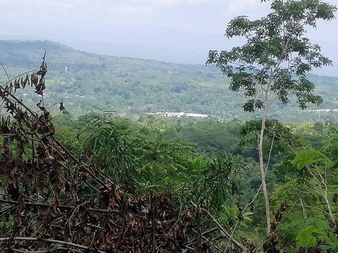 Samal Island overlooking Property, Property, For Sale, Commercial on ...