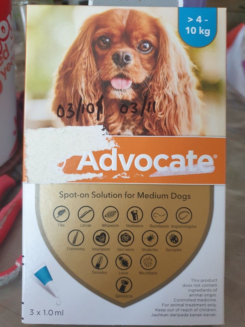 ADVOCATE SPOT ON SOLUTION FOR MEDIUM Dog nt NEXGARD FRONTLINE Pet