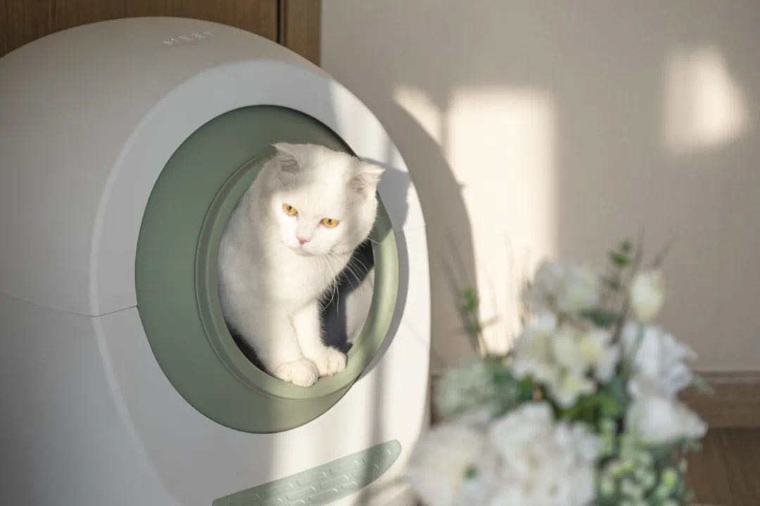 Automatic Cat Litter Box Smart Intelligent Car Litter Box Self Cleaning