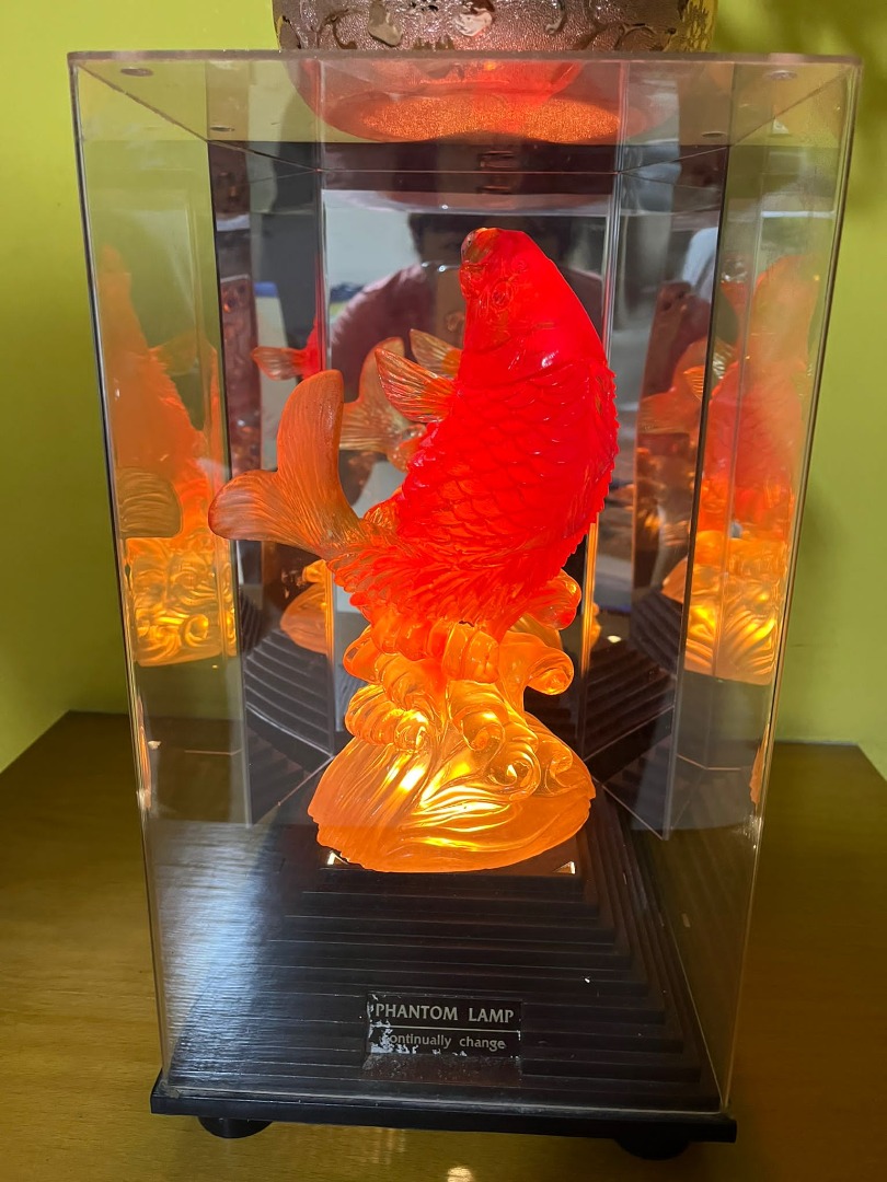Fish display with colour changing lights, Furniture & Home Living, Home ...