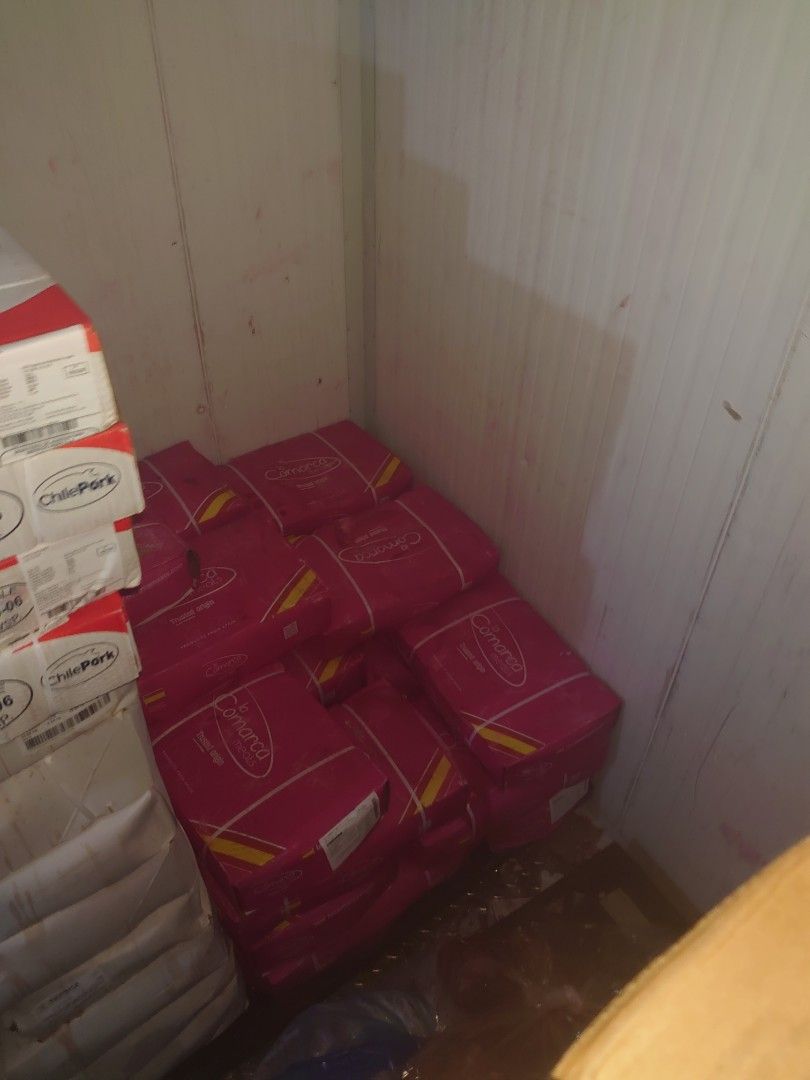 Frozen Pork Lungs, Intestine, Heart and Beef Fats, Food & Drinks