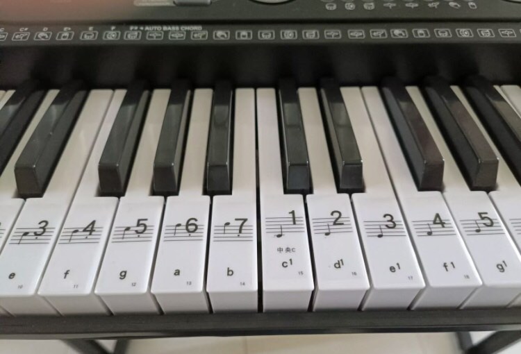 Casio keyboard sales 66 keys