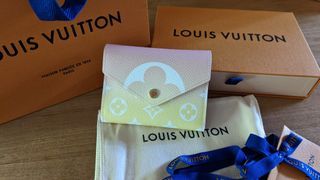 LOUIS VUITTON BY THE POOL 2023 BAG UNBOXING, Louis Vuitton Summer Degrade  2023