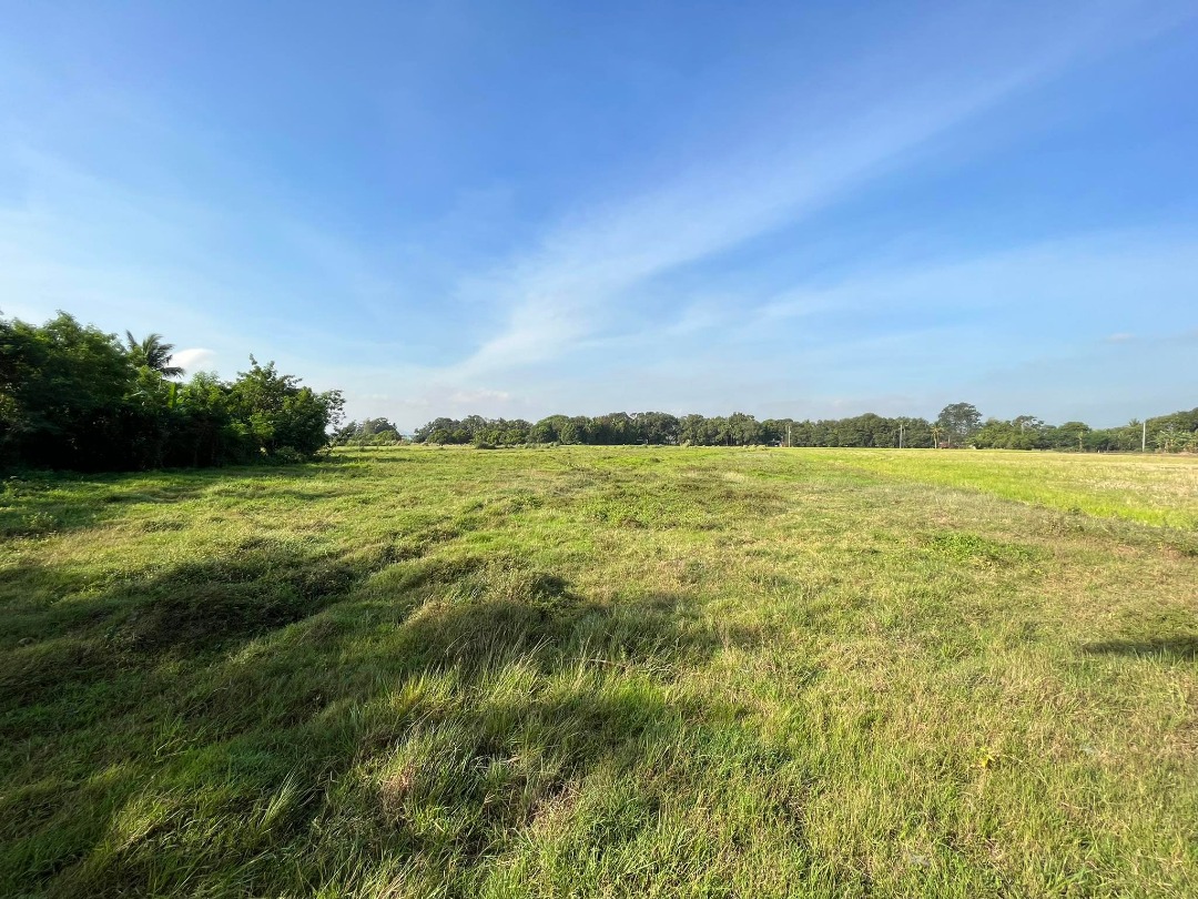 NAIC, CAVITE 13,095 SQM LOT FOR SALE, Property, For Sale, Lot on Carousell