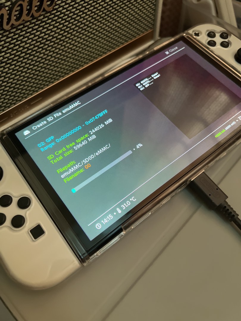 Nintendo Switch Oled Hard Mod, Video Gaming, Video Game Consoles