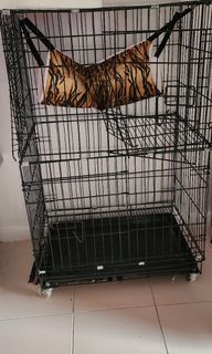 (Category: ) located in . Submitted by farah.sandy (Listing ID 1196125742, Image 1). Description: .