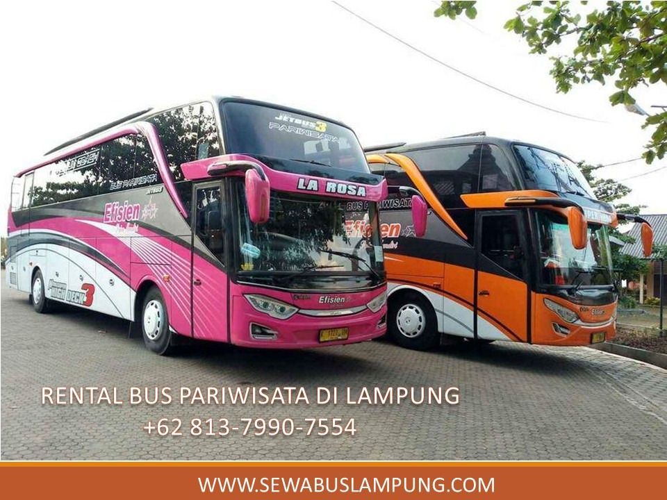 Jelajah Negeri Sekampung: Panduan Lengkap Sewa Bus Pariwisata Palembang ke Lampung