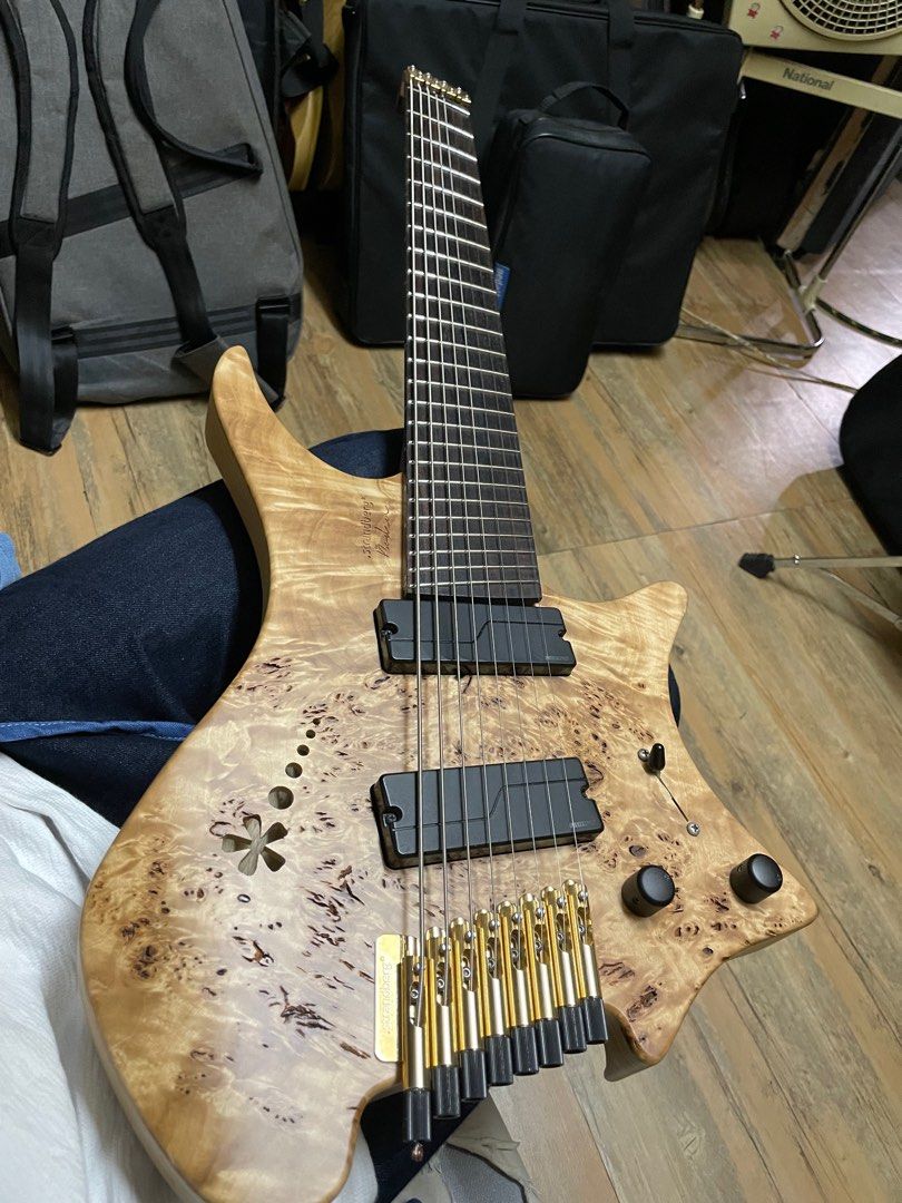 Strandberg Sweden Custom Boden 8, 興趣及遊戲, 音樂樂器& 配件, 樂器 