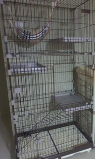 (Category: ) located in . Submitted by kasarisan (Listing ID 1196216754, Image 1). Description: .