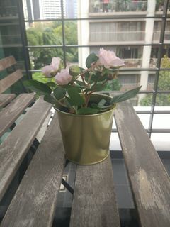 Artificial plant for sell