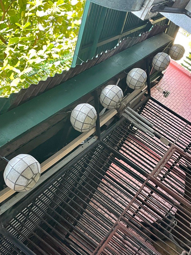 Capiz Lantern (Category: Lighting) located in Mandaue City. Submitted by jane2872 (Listing ID 1196307219, Image 2). Description: 6 pcs No Bulb Pick-up only Cebu.