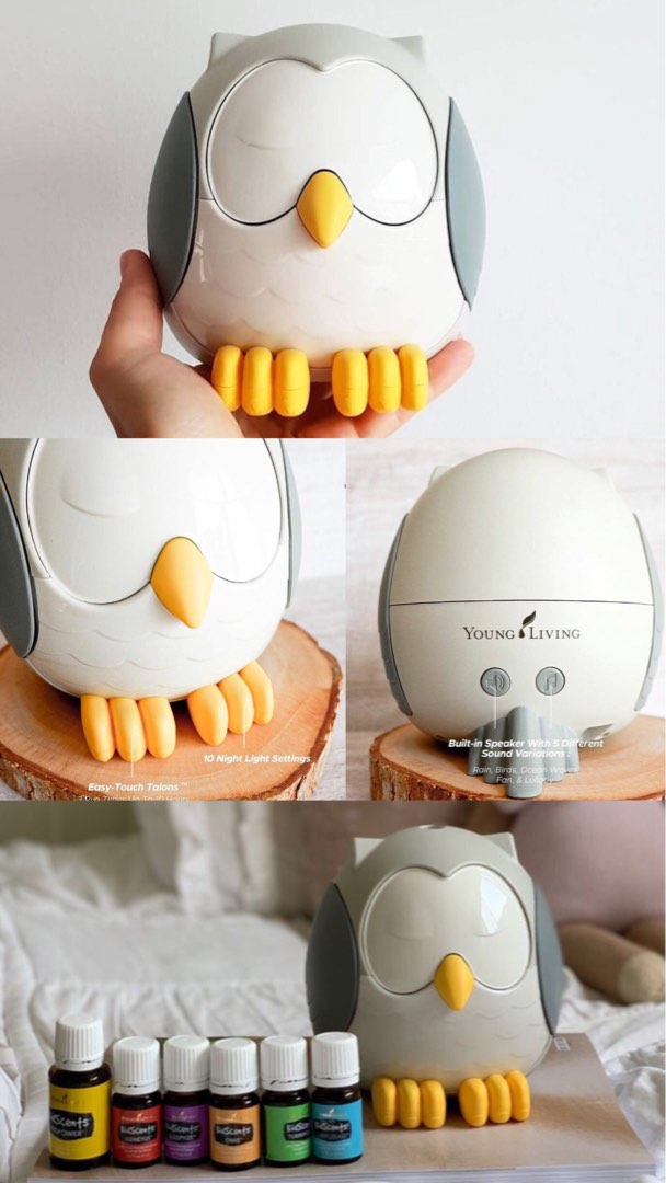 Owl young living diffuser, Perabotan Rumah di Carousell