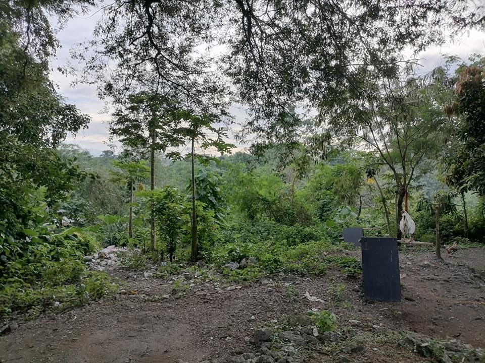 Trece Martires Cavite Lot, 872sqm. near Governors Drive P3,500/sqm NET