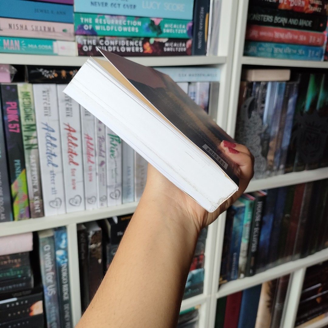 Wall of Winnipeg and Me (Mariana Zapata) *Indigo Pub*, Hobbies & Toys