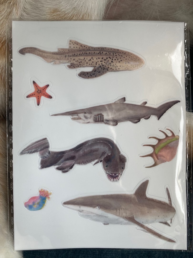 Waterproof laminated shark sticker pack, Hobbies & Toys, Stationery
