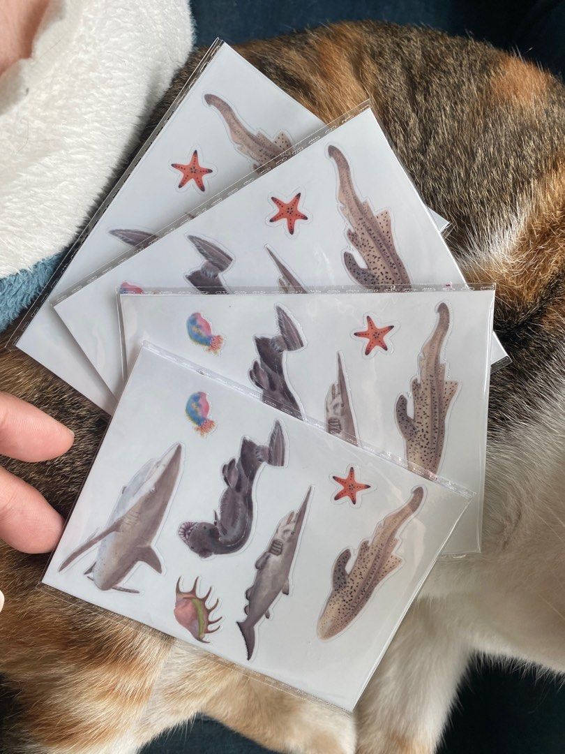 Waterproof laminated shark sticker pack, Hobbies & Toys, Stationery