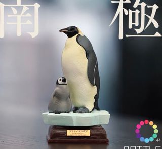 （分類：）位於 。 由 morriswai 提交（商品編號 1196537826，圖片 1）。簡介： 。