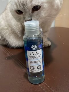 （分類：）位於 。 由 ohbubbletea 提交（商品編號 1196408446，圖片 1）。簡介： 。