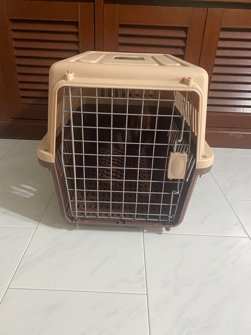 Airline Approved Pet Crate, Pet Supplies, Homes & Other Pet Accessories