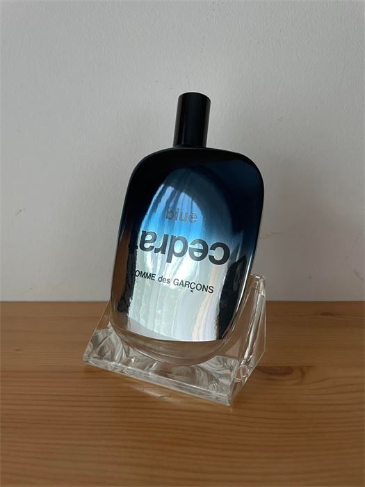 Comme des garcons blue cedrat online