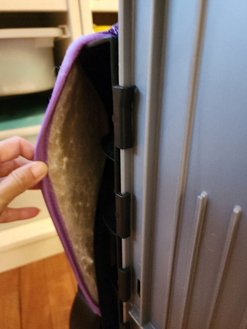 Cosco Pronto BeltPositioning Booster Car Seat, Babies & Kids, Going