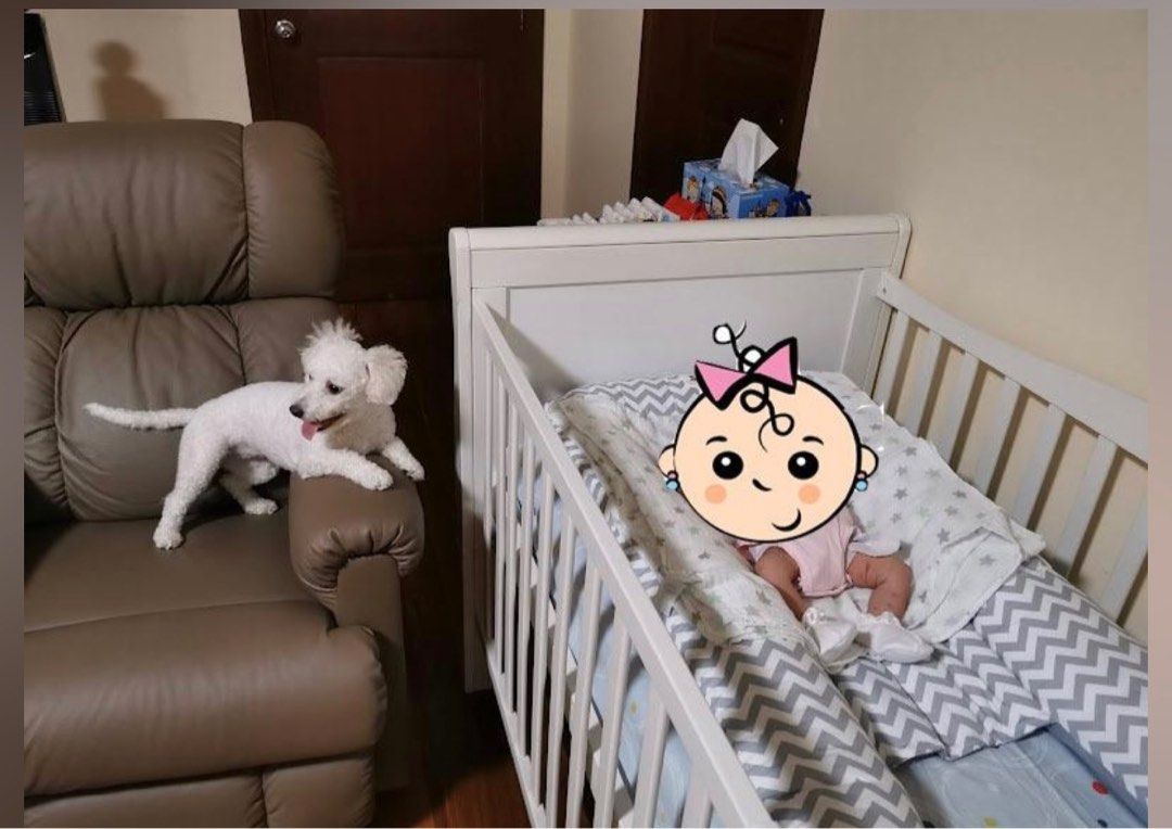Dwelling Wooden Crib without Mattress Babies Kids Baby Nursery Kids Furniture Cots Cribs on Carousell